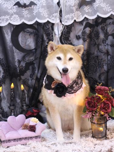 20231014こはるちゃん